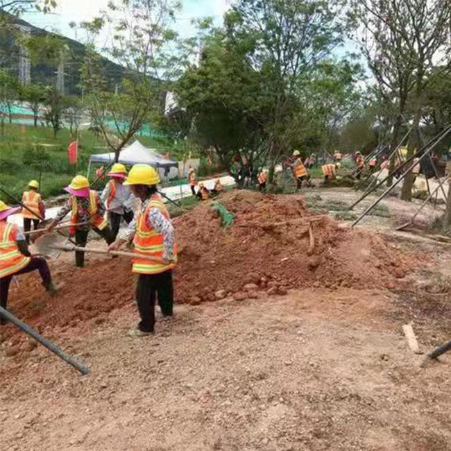 道路綠化施工設(shè)計(jì)及養(yǎng)護(hù)